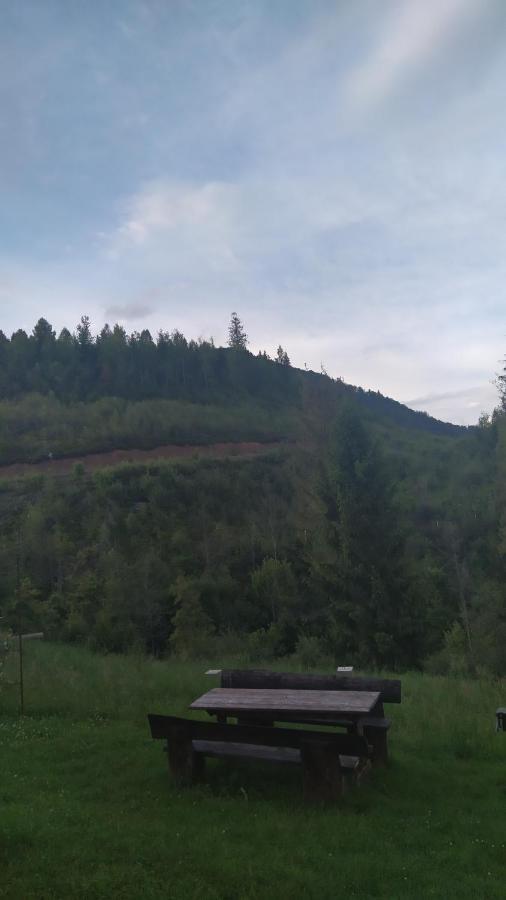 Родинна Оселя Slavske Exteriér fotografie