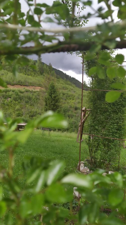 Родинна Оселя Slavske Exteriér fotografie